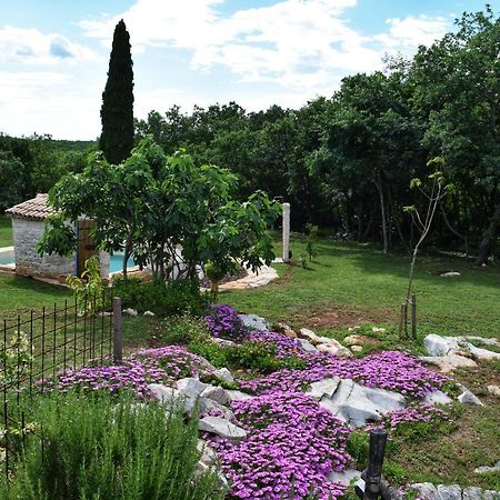 Cottage Al Merlo Olivo Buje Bagian luar foto