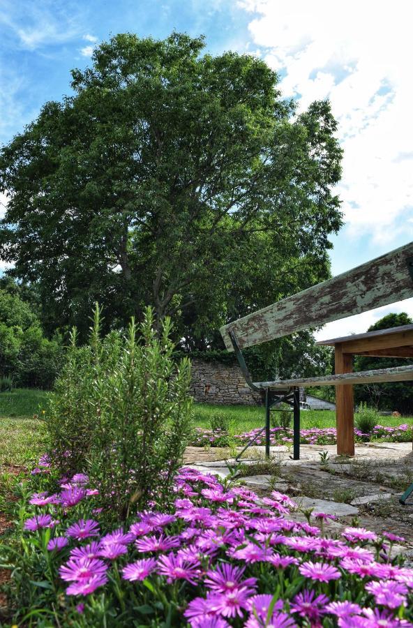 Cottage Al Merlo Olivo Buje Bagian luar foto