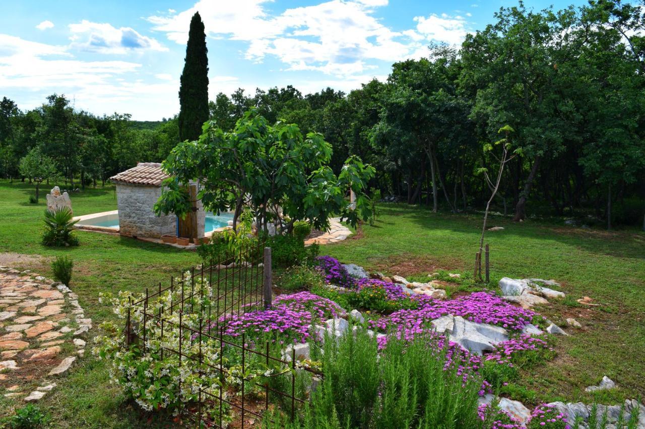 Cottage Al Merlo Olivo Buje Bagian luar foto