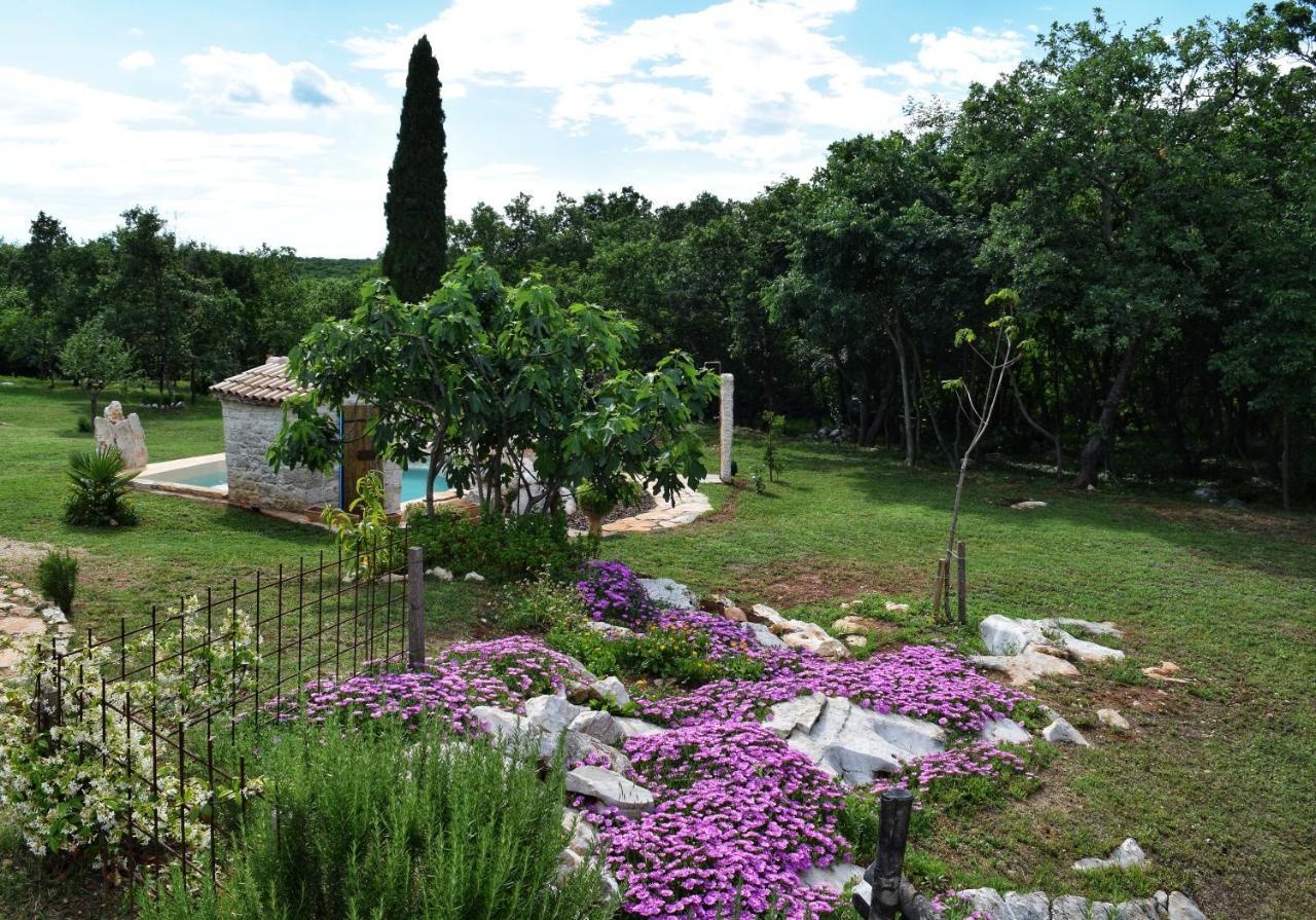 Cottage Al Merlo Olivo Buje Bagian luar foto