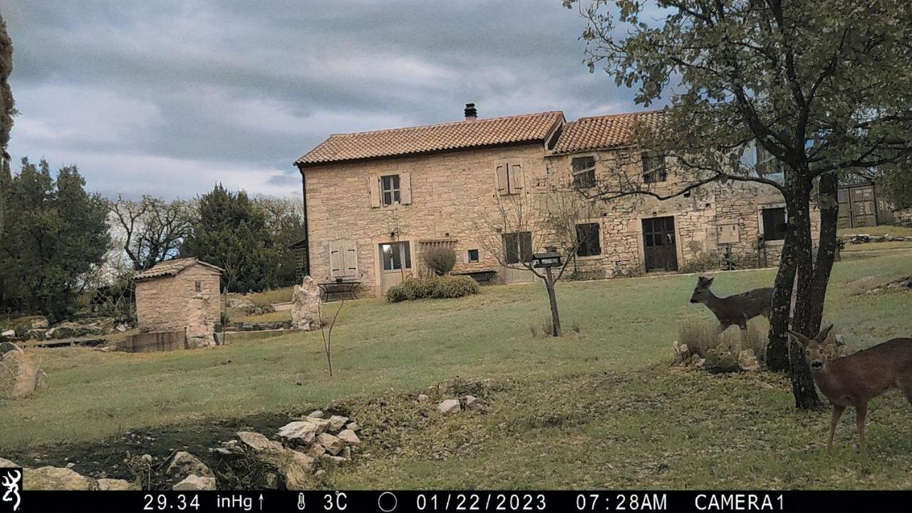 Cottage Al Merlo Olivo Buje Bagian luar foto