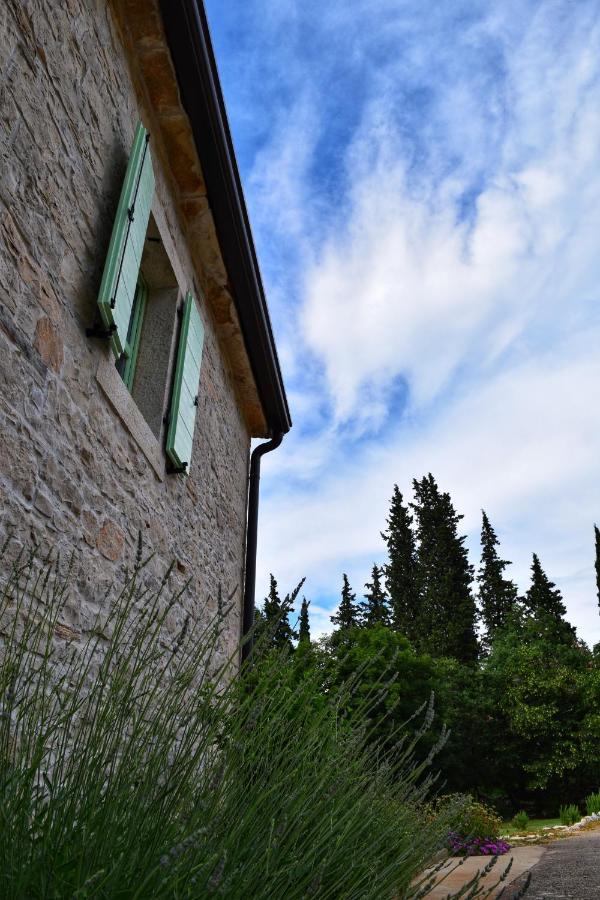 Cottage Al Merlo Olivo Buje Bagian luar foto