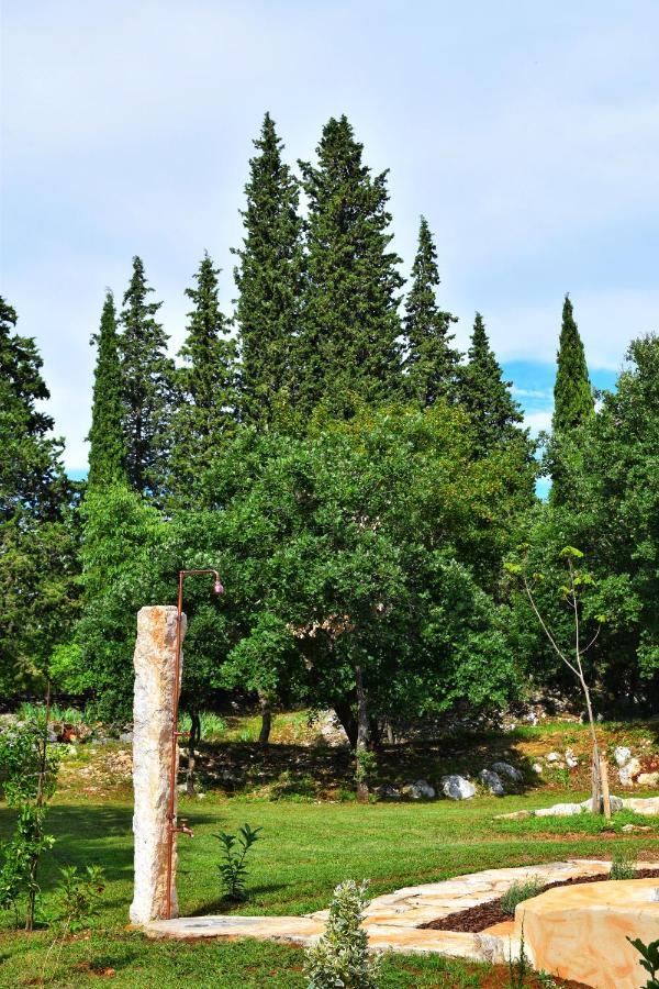 Cottage Al Merlo Olivo Buje Bagian luar foto